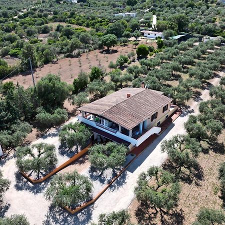 Rustico Degli Ulivi Apartment Orosei Bagian luar foto