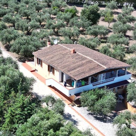 Rustico Degli Ulivi Apartment Orosei Bagian luar foto