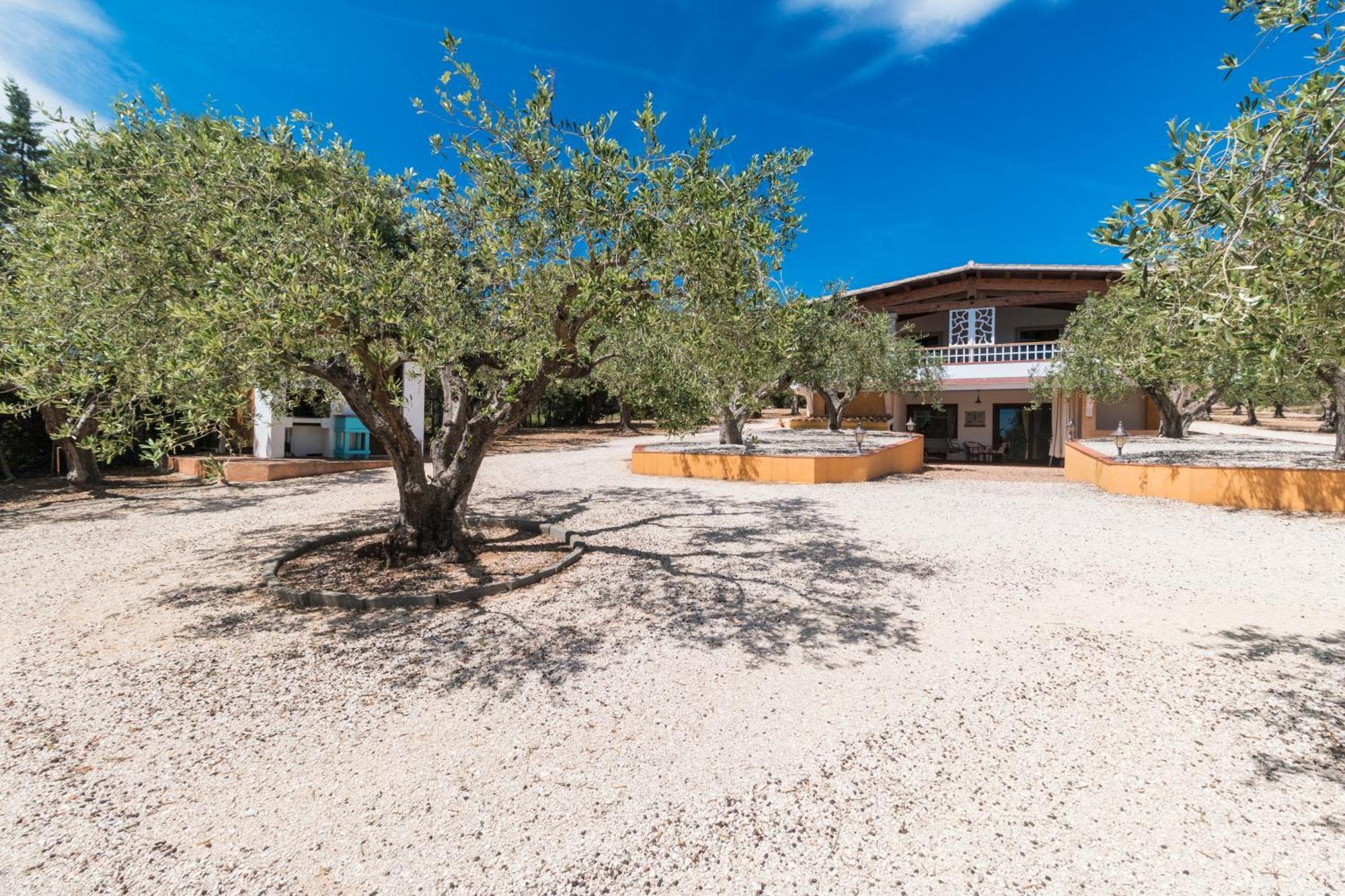 Rustico Degli Ulivi Apartment Orosei Bagian luar foto